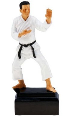 karate trofee2