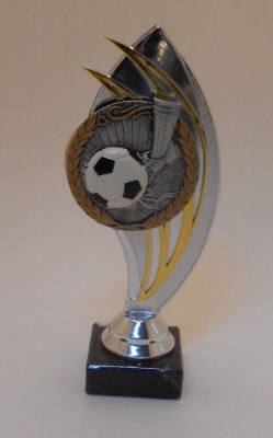 voetbaltrofee-p2453